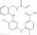Fig. 638 - ERK inhibitors and uses thereof