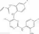 Fig. 662 - ERK inhibitors and uses thereof