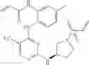Fig. 729 - ERK inhibitors and uses thereof