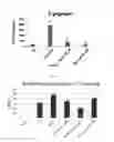 Fig. 06 - Method of inhibiting quorum sensing using D-galactose