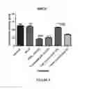 Fig. 06 - Composition for treating neuropathy, a process and a method of treatment thereof