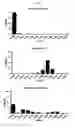Fig. 03 - Biodefenses using triazole-containing macrolides