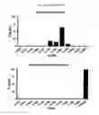 Fig. 04 - Biodefenses using triazole-containing macrolides