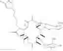 Fig. 17 - Biodefenses using triazole-containing macrolides
