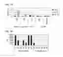Fig. 02 - Immunomodulating gene therapy