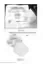 Fig. 08 - COMPOSITION, PREPARATION, AND USE OF CHITOSAN POWDER FOR BIOMEDICAL APPLICATIONS