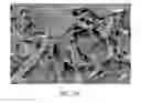 Fig. 12 - COMPOSITION, PREPARATION, AND USE OF CHITOSAN POWDER FOR BIOMEDICAL APPLICATIONS
