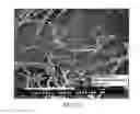 Fig. 18 - COMPOSITION, PREPARATION, AND USE OF CHITOSAN POWDER FOR BIOMEDICAL APPLICATIONS