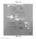 Fig. 28 - COMPOSITION, PREPARATION, AND USE OF CHITOSAN POWDER FOR BIOMEDICAL APPLICATIONS