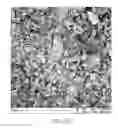 Fig. 32 - COMPOSITION, PREPARATION, AND USE OF CHITOSAN POWDER FOR BIOMEDICAL APPLICATIONS