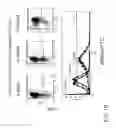 Fig. 03 - Engineering and delivery of therapeutic compositions of freshly isolated cells