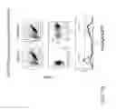 Fig. 05 - Engineering and delivery of therapeutic compositions of freshly isolated cells
