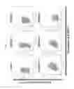 Fig. 05 - In vitro production of red blood cells with proteins comprising sortase recognition motifs