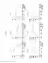 Fig. 10 - In vitro production of red blood cells with proteins comprising sortase recognition motifs