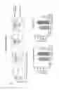 Fig. 23 - In vitro production of red blood cells with proteins comprising sortase recognition motifs