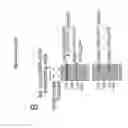 Fig. 37 - In vitro production of red blood cells with proteins comprising sortase recognition motifs