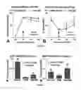 Fig. 02 - METHODS, SYSTEMS, AND COMPOSITIONS RELATING TO  TREATMENT OF NEUROLOGICAL CONDITIONS, DISEASES, AND INJURIES AND COMPLICATIONS FROM DIABETES