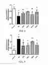 Fig. 06 - Method for regulating blood glucose level