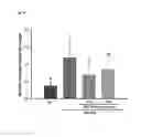 Fig. 05 - Method Use of Polymethoxyflavones (PMFs) in Body Composition Management
