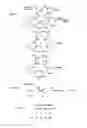 Fig. 02 - Beta-turn peptidomimetic cyclic compounds for treating dry eye