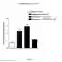Fig. 12 - Beta-turn peptidomimetic cyclic compounds for treating dry eye