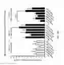 Fig. 22 - Beta-turn peptidomimetic cyclic compounds for treating dry eye