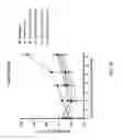 Fig. 28 - Beta-turn peptidomimetic cyclic compounds for treating dry eye