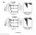 Fig. 09 - Compositions and methods for treating coronavirus infection