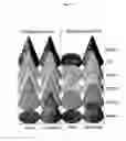 Fig. 85 - Flagellin related polypeptides and uses thereof