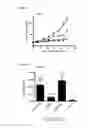 Fig. 12 - Wnt antagonist and methods of treatment and screening