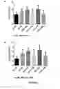 Fig. 06 - HEART FAILURE TREATMENT