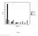 Fig. 06 - Vaccine for PCV2 and mycoplasma