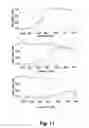 Fig. 08 - Bifunctional molecules with antibody-recruiting and entry inhibitory activity against the human immunodeficiency virus