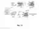 Fig. 10 - Bifunctional molecules with antibody-recruiting and entry inhibitory activity against the human immunodeficiency virus