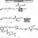 Fig. 44 - Bifunctional molecules with antibody-recruiting and entry inhibitory activity against the human immunodeficiency virus