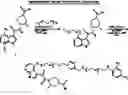 Fig. 46 - Bifunctional molecules with antibody-recruiting and entry inhibitory activity against the human immunodeficiency virus
