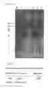 Fig. 05 - Methods and Compositions for the Treatment of Proliferative and Pathogenic Diseases