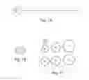 Fig. 02 - WIREFRAME NANOSTRUCTURES
