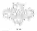 Fig. 06 - WIREFRAME NANOSTRUCTURES