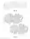 Fig. 07 - WIREFRAME NANOSTRUCTURES