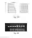 Fig. 27 - WIREFRAME NANOSTRUCTURES