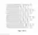 Fig. 41 - WIREFRAME NANOSTRUCTURES