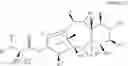 Fig. 29 - CYCLODEXTRIN-BASED POLYMERS FOR THERAPEUTIC DELIVERY