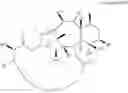 Fig. 52 - CYCLODEXTRIN-BASED POLYMERS FOR THERAPEUTIC DELIVERY