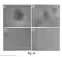 Fig. 14 - Reverse thermal gels and uses therefor