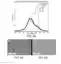 Fig. 07 - ENGINEERED MICROGELS