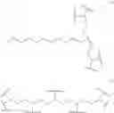 Fig. 08 - NANOCOMPLEXES FOR DELIVERY OF SAPORIN
