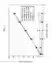 Fig. 02 - ST-246 liquid formulations and methods