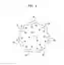 Fig. 05 - ST-246 liquid formulations and methods