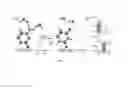 Fig. 08 - CHEMICAL EXCHANGE SATURATION TRANSFER (CEST) BASED MRI USING REPORTER GENES AND SUBSTRATES AND METHODS THEREOF